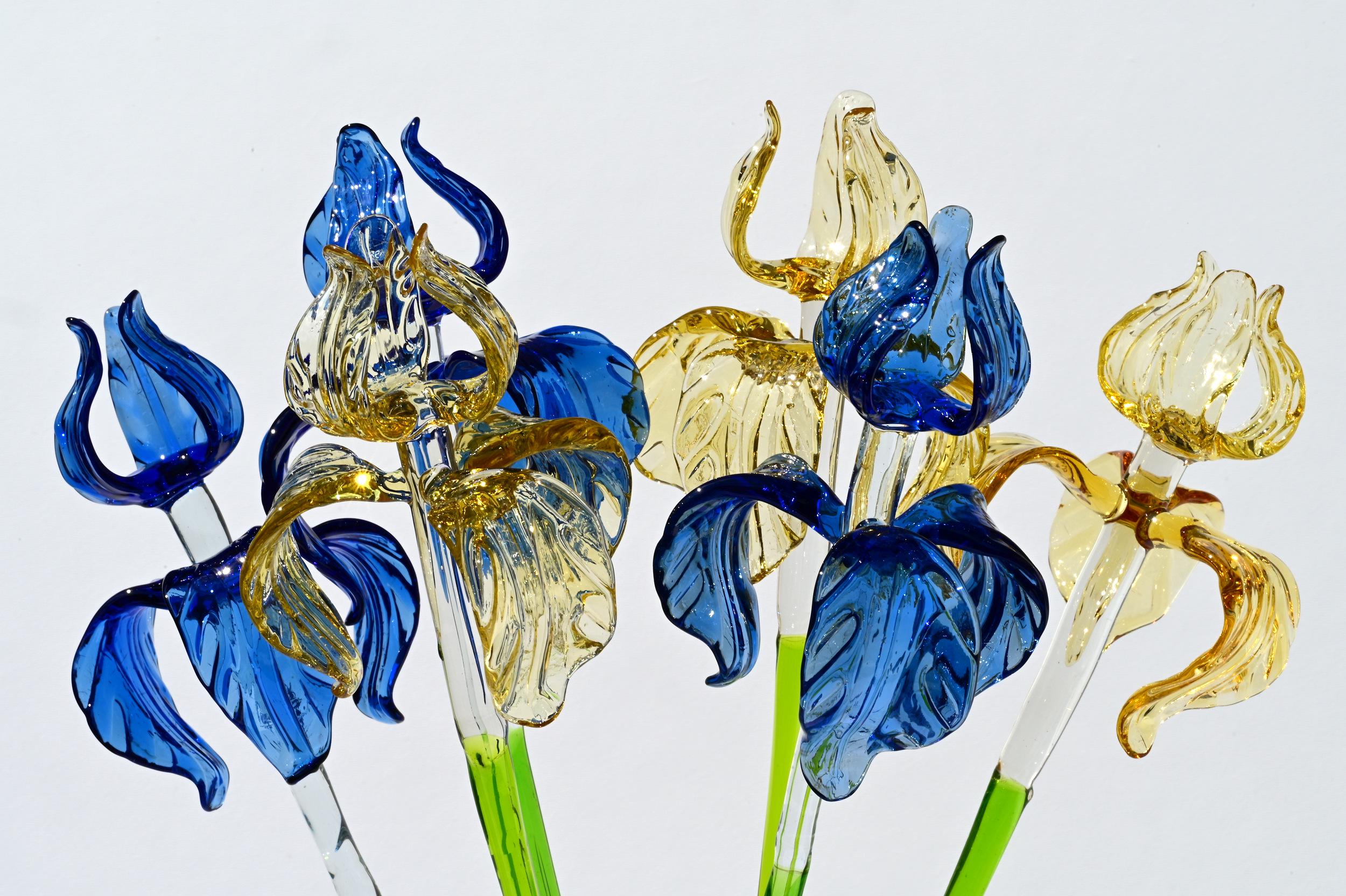 "Six Petals" Iris Bouquet of 6