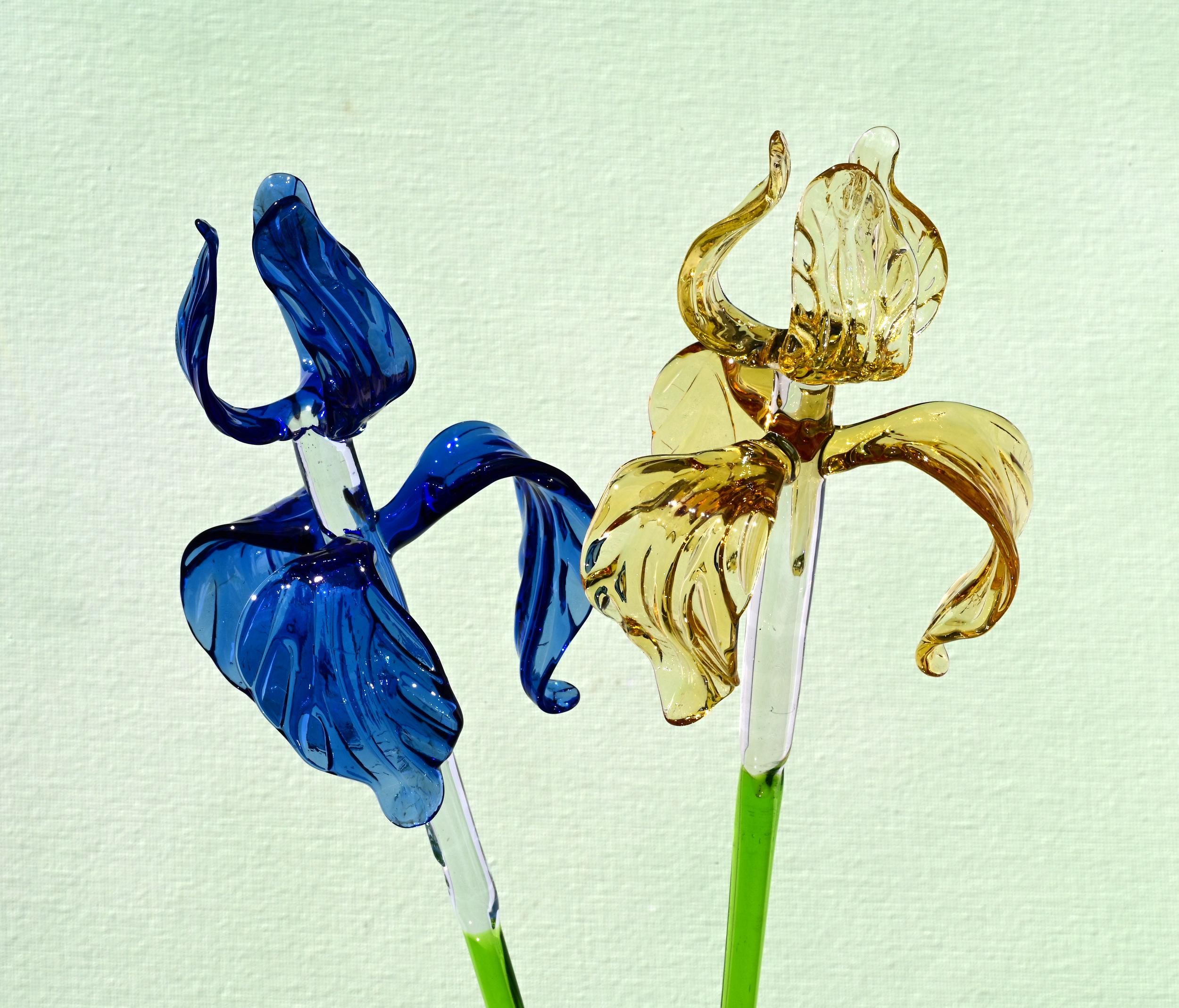 "Six Petals" Iris Bouquet of 6