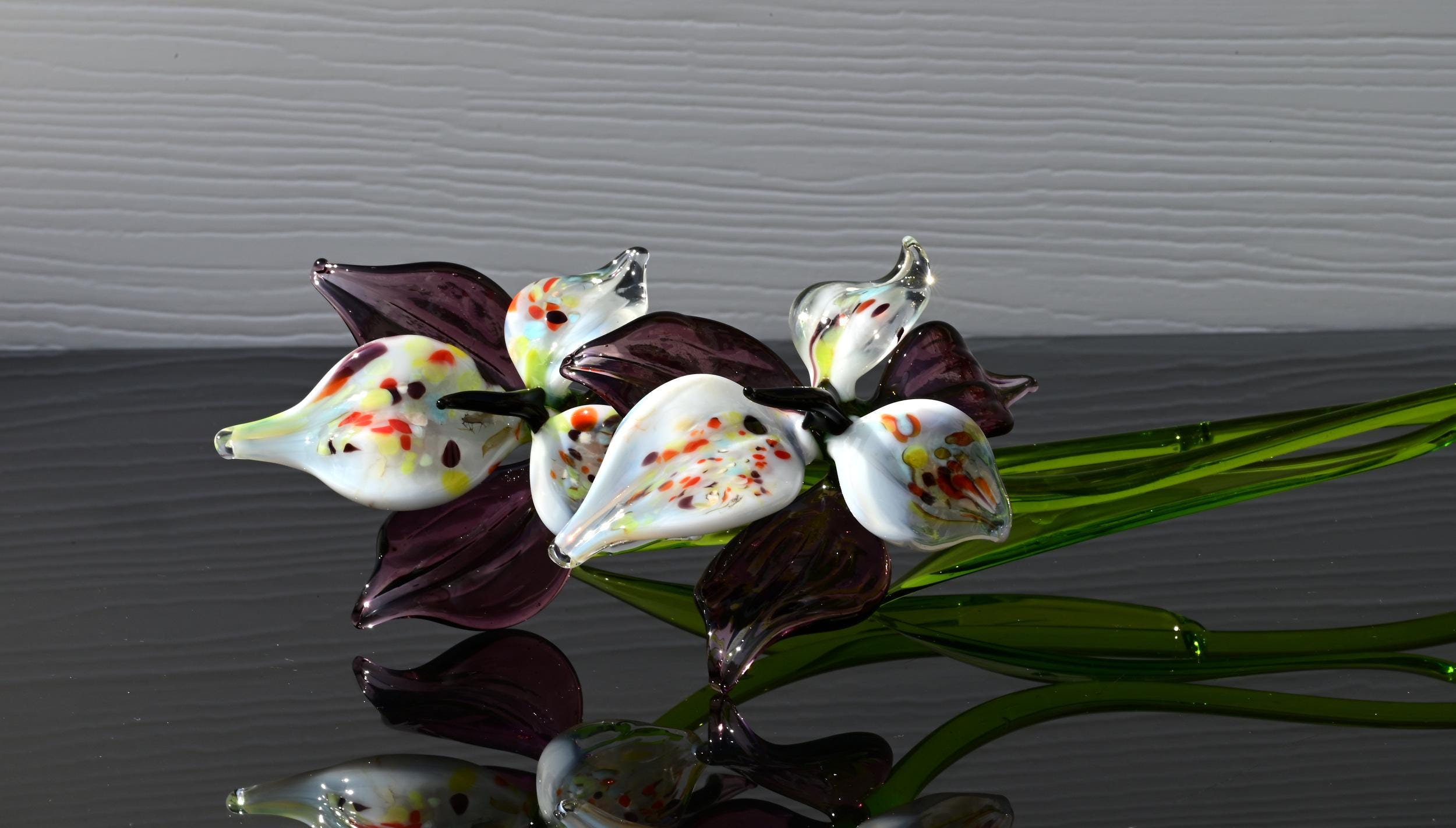 "Eclipse" Orchid Blooms