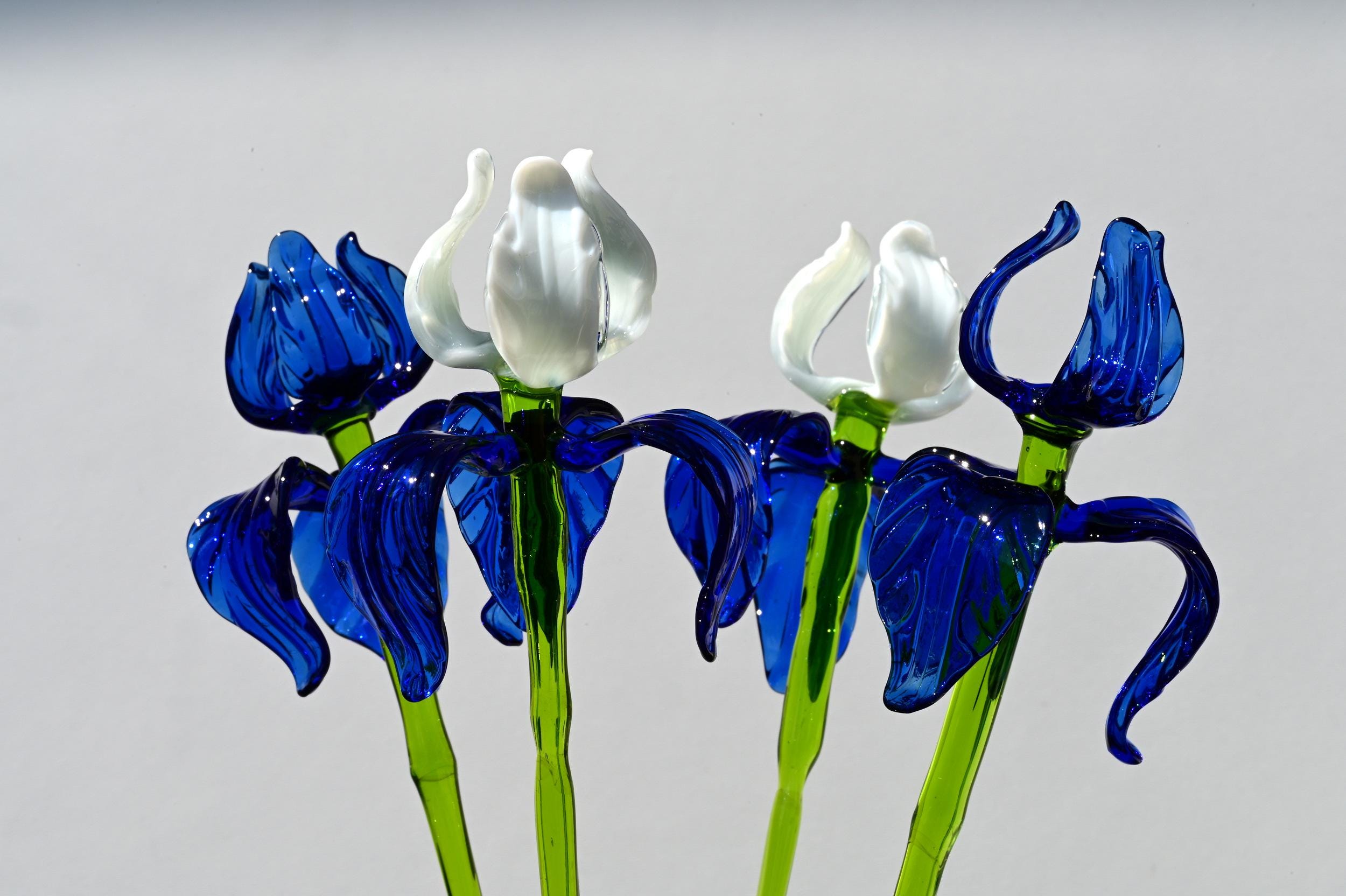 "Moonlight" Blue & White Iris Bouquet