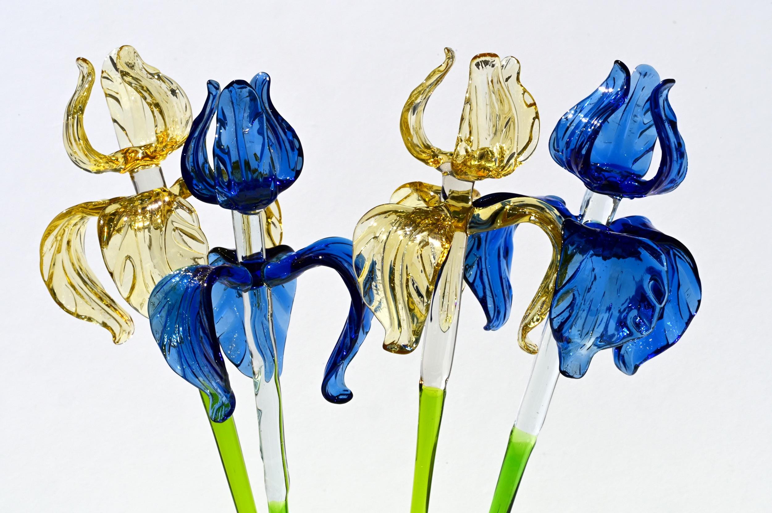 "Six Petals" Iris Bouquet of 6