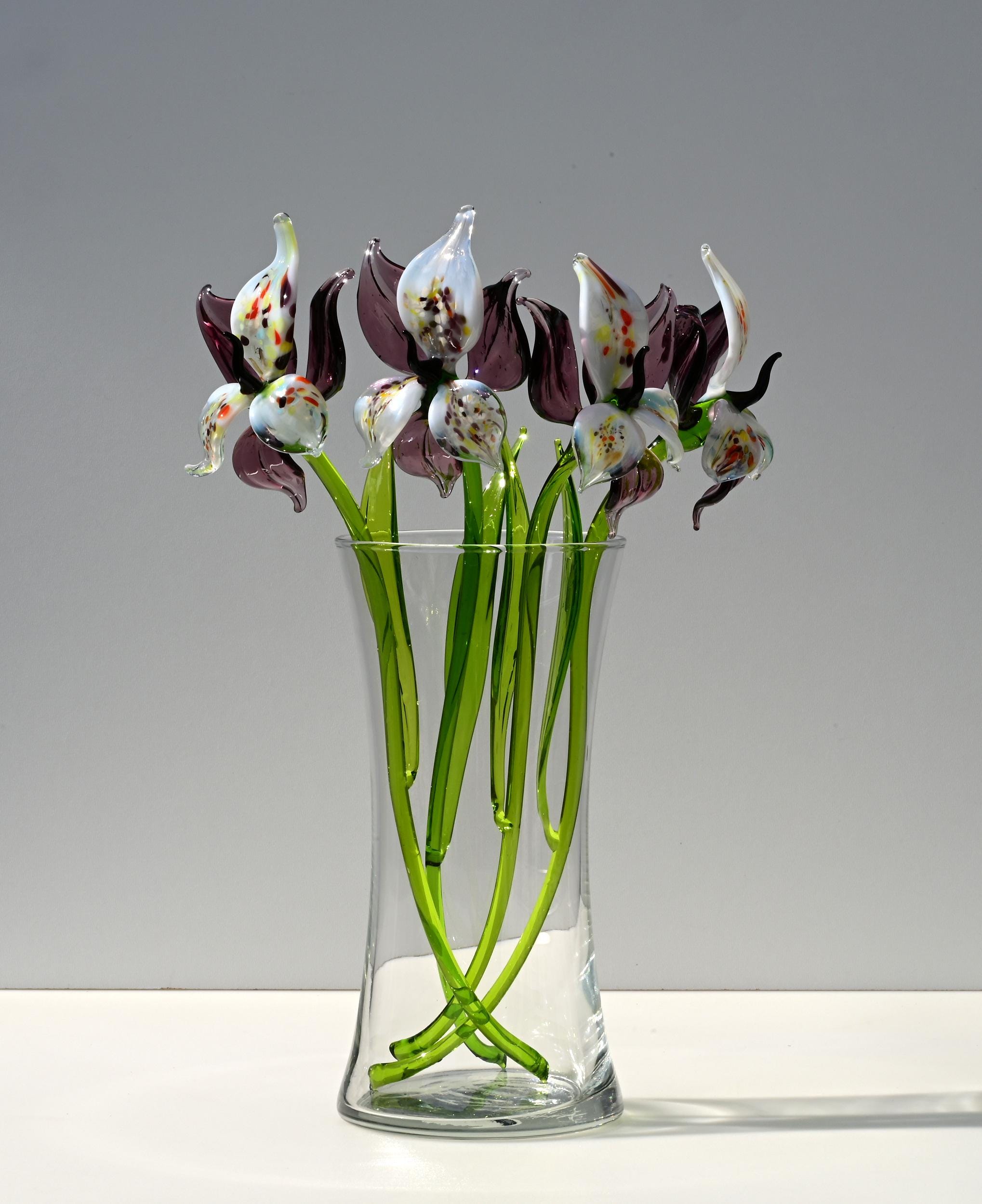 "Eclipse" Orchid Blooms