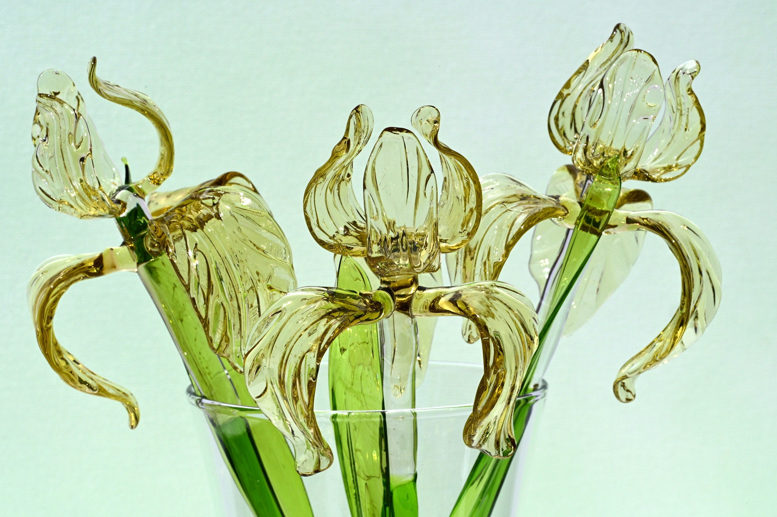 "Goldilocks" Gold & Transparent Iris