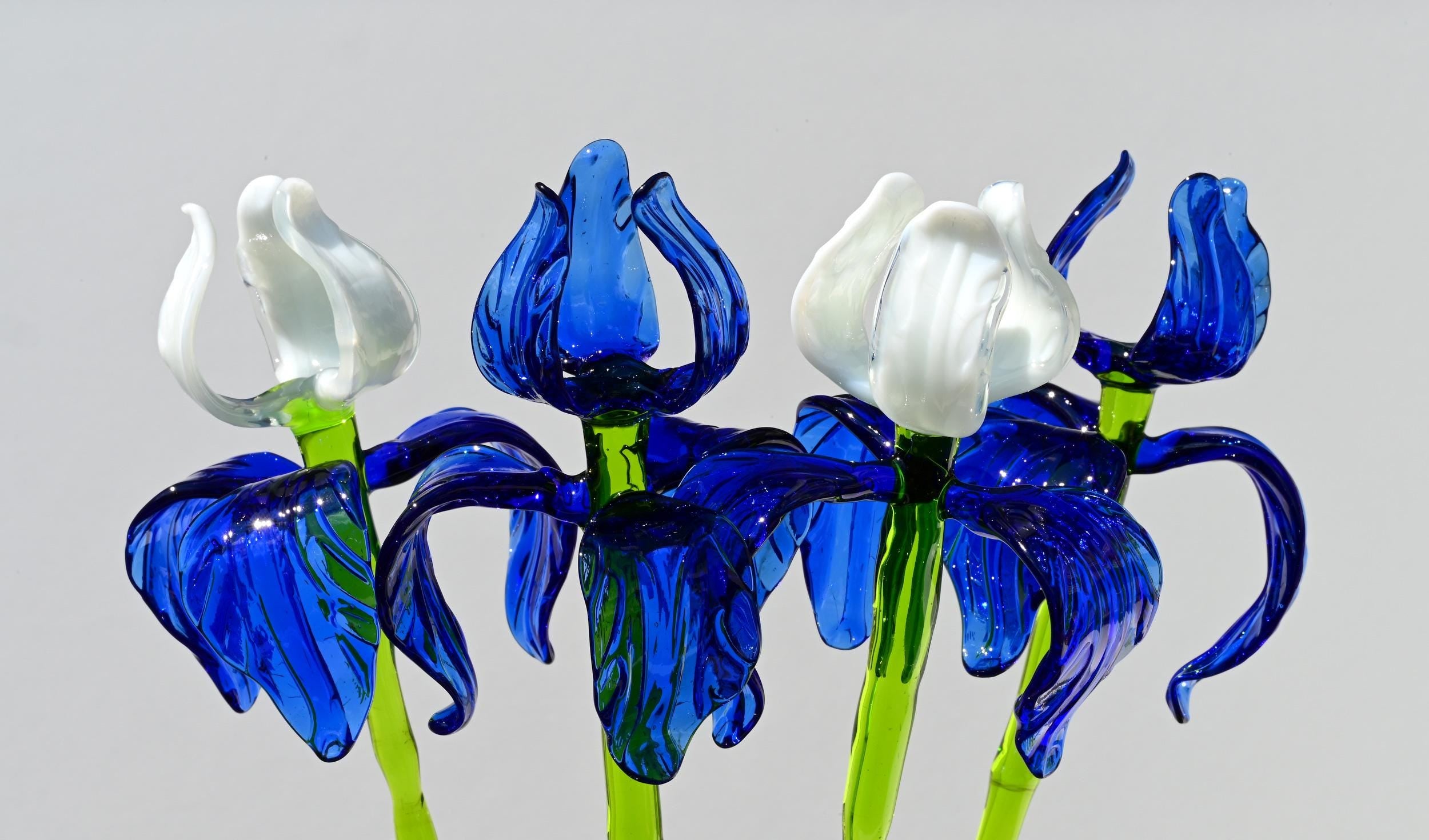 "Moonlight" Blue & White Iris Bouquet
