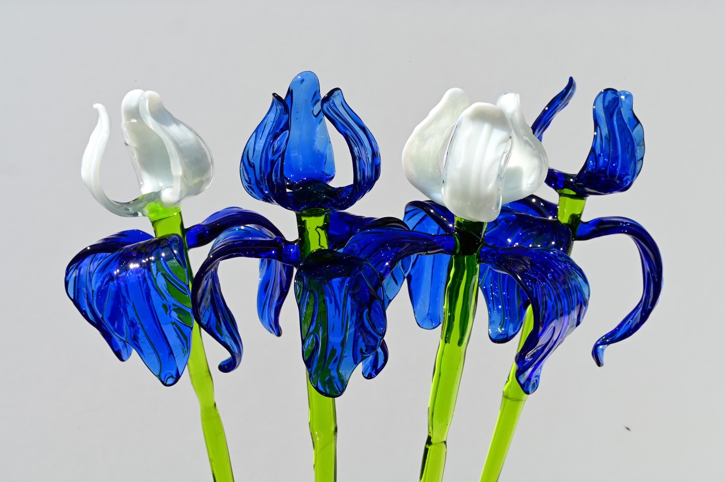 "Moonlight" Blue & White Iris Bouquet