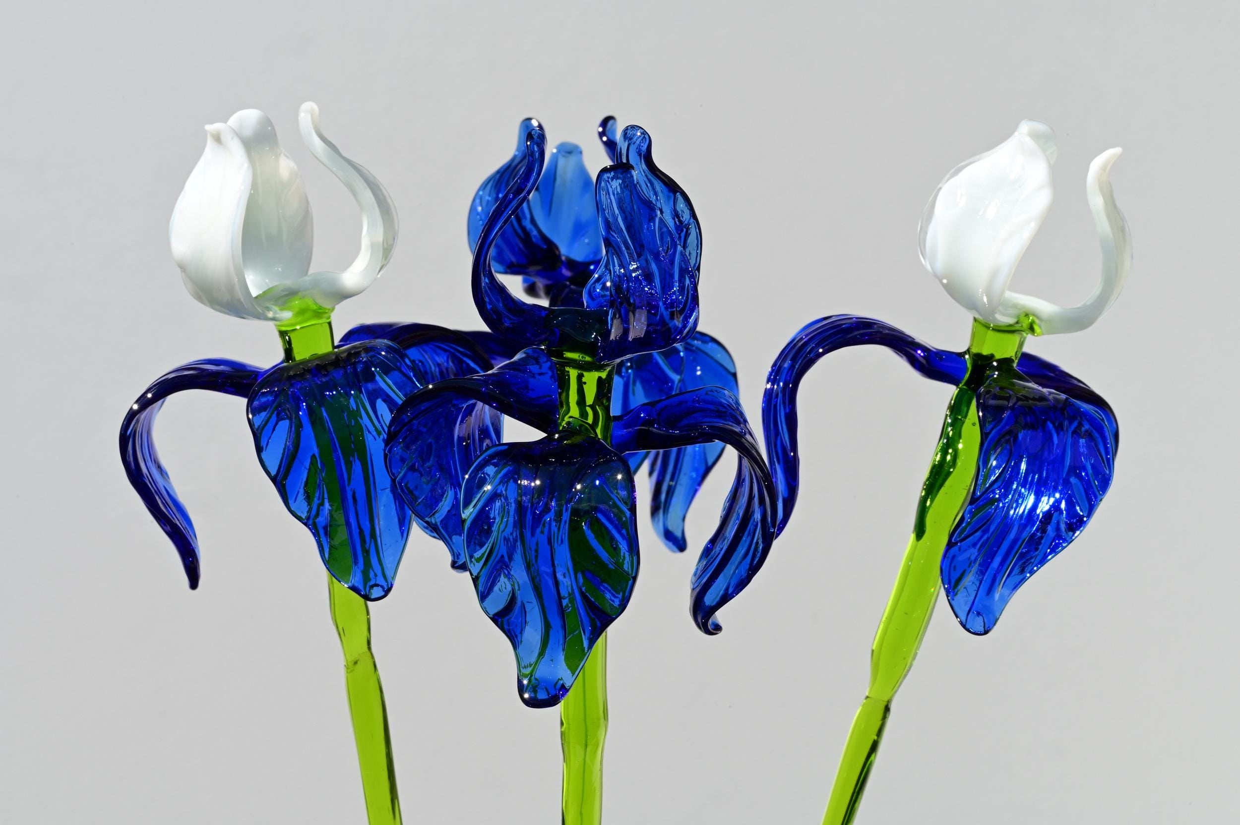 "Moonlight" Blue & White Iris Bouquet