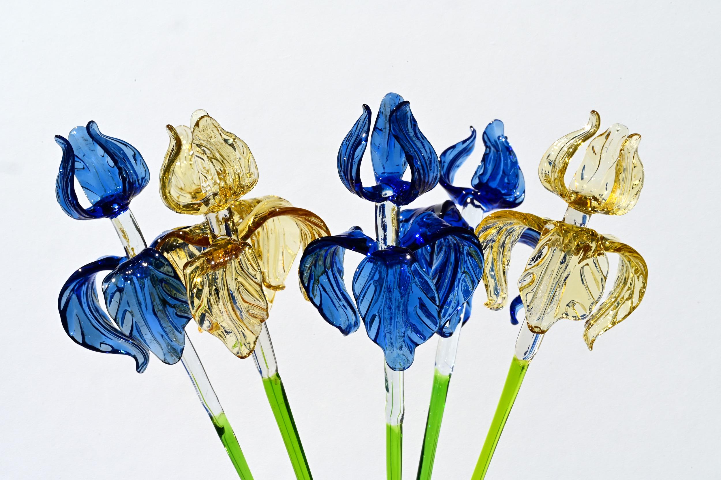 "Six Petals" Iris Bouquet of 6