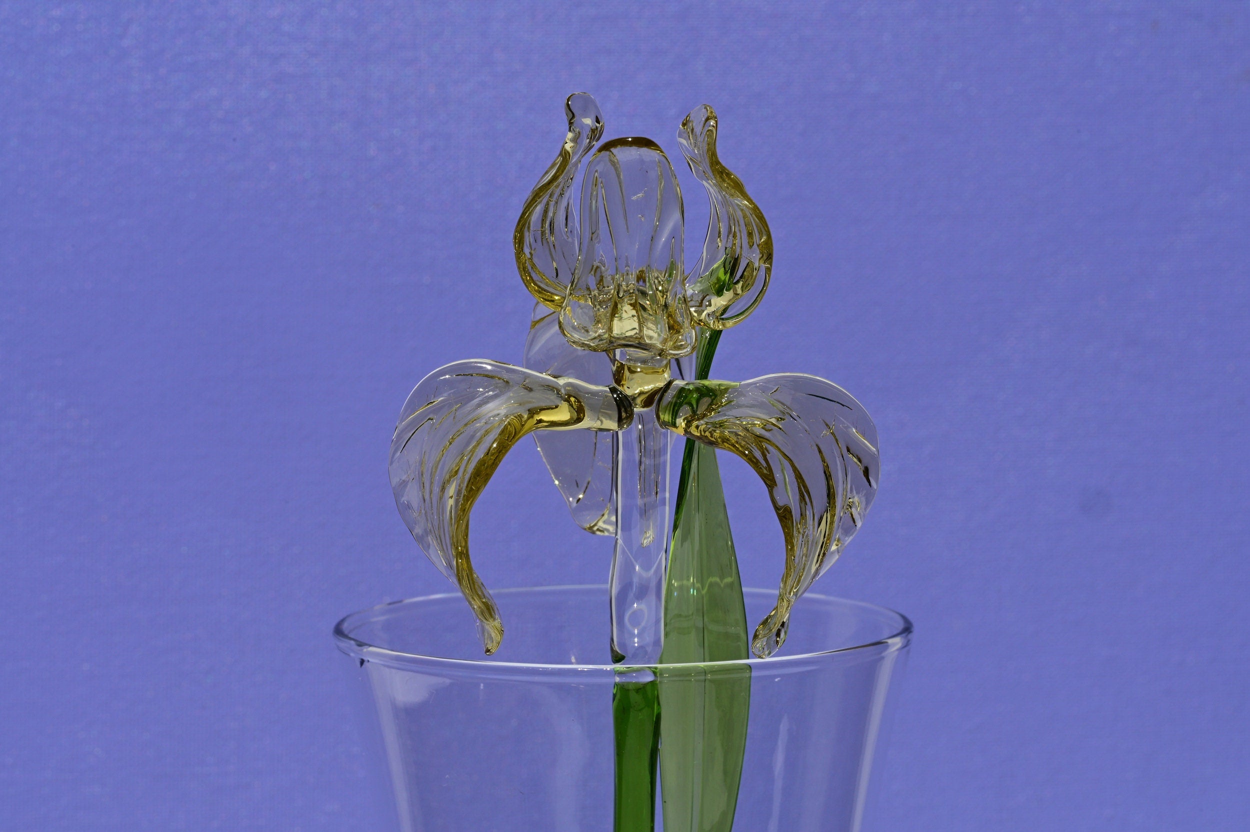 "Goldilocks" Gold & Transparent Iris