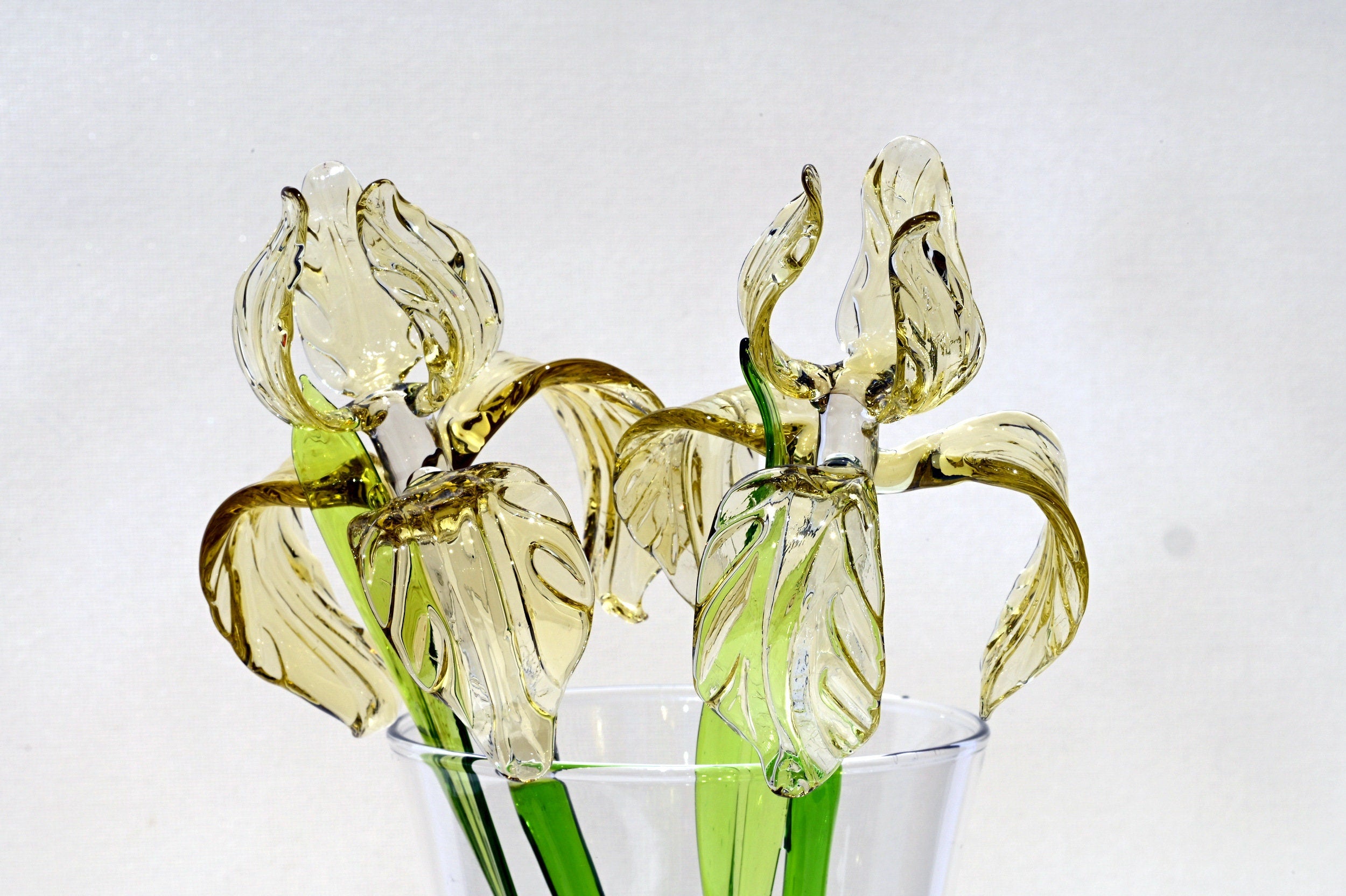 "Goldilocks" Gold & Transparent Iris
