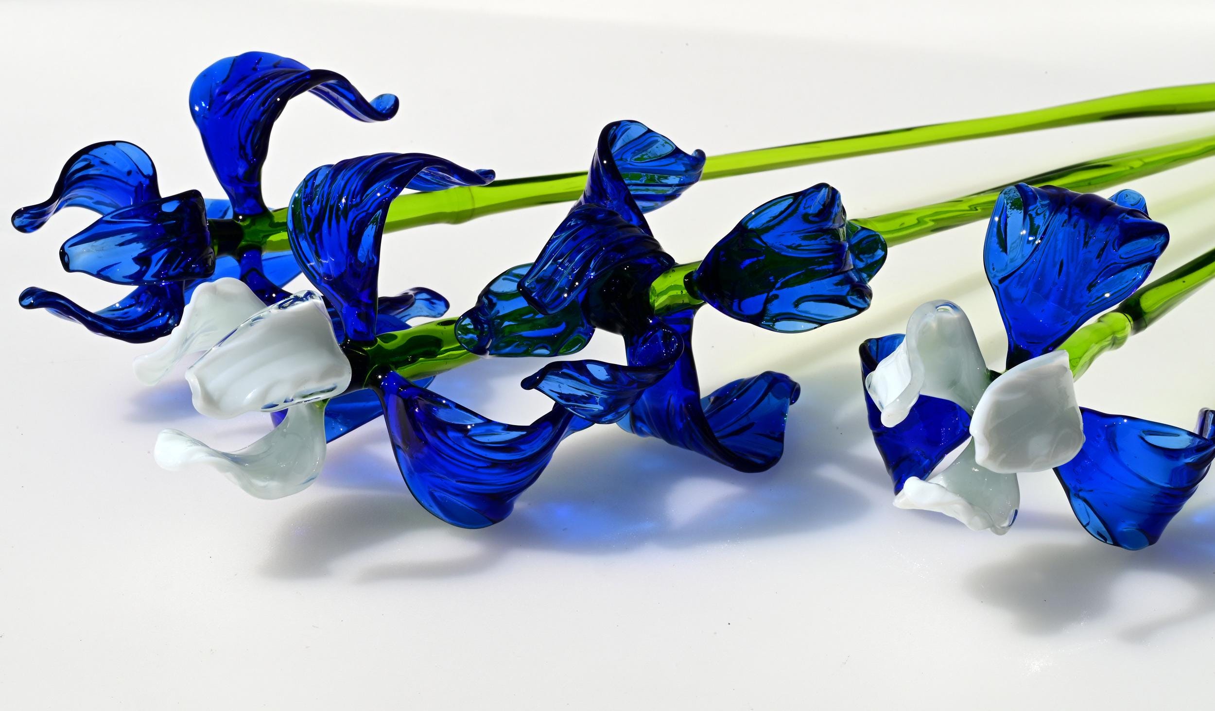 "Moonlight" Blue & White Iris Bouquet
