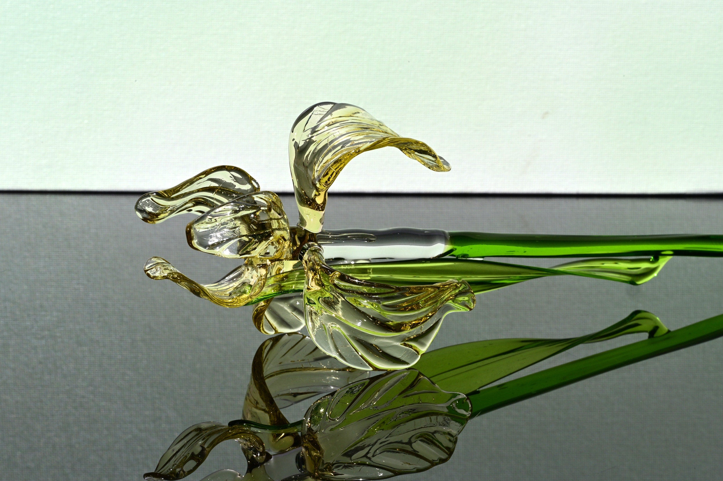 "Goldilocks" Gold & Transparent Iris
