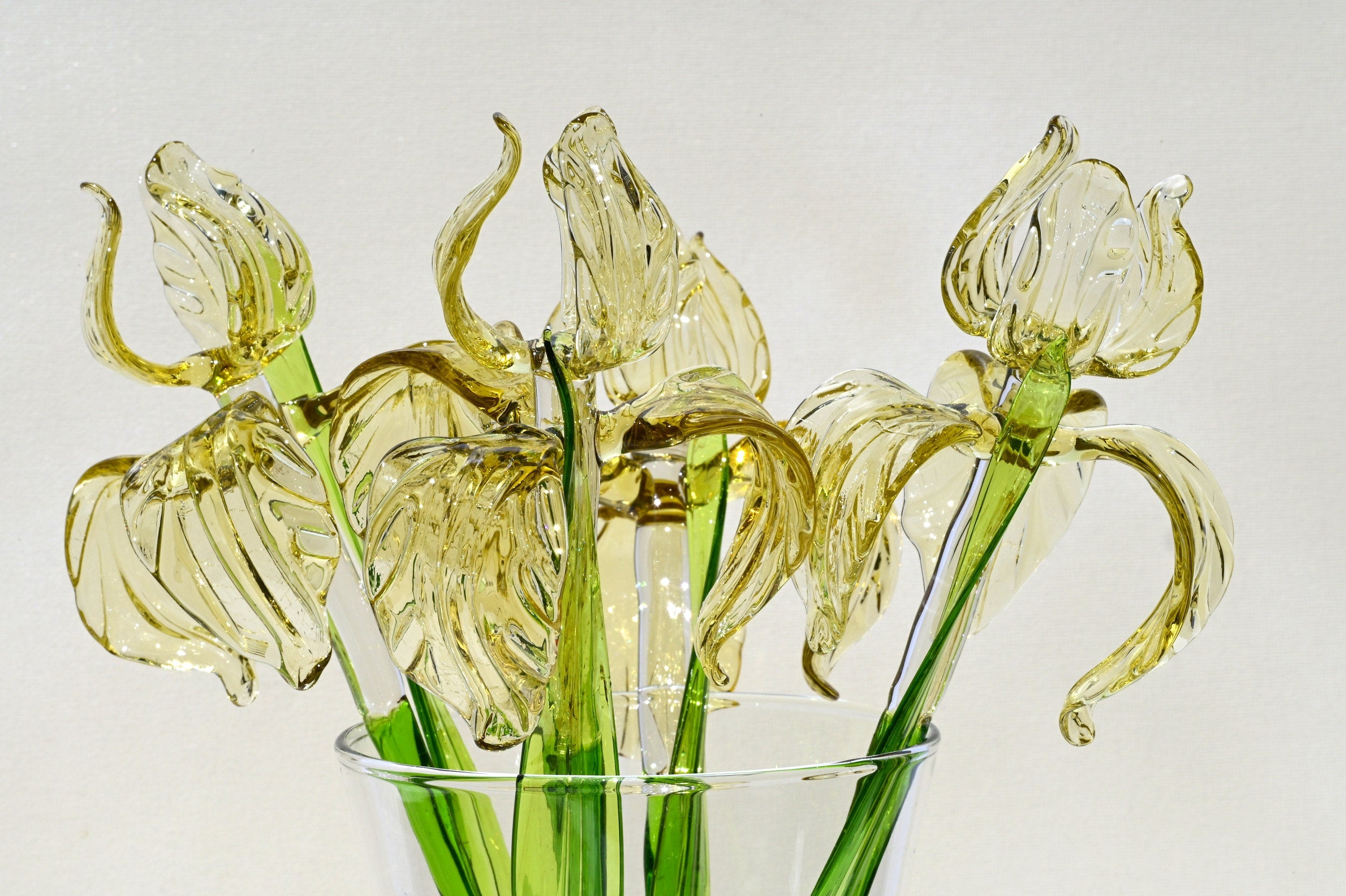 "Goldilocks" Gold & Transparent Iris