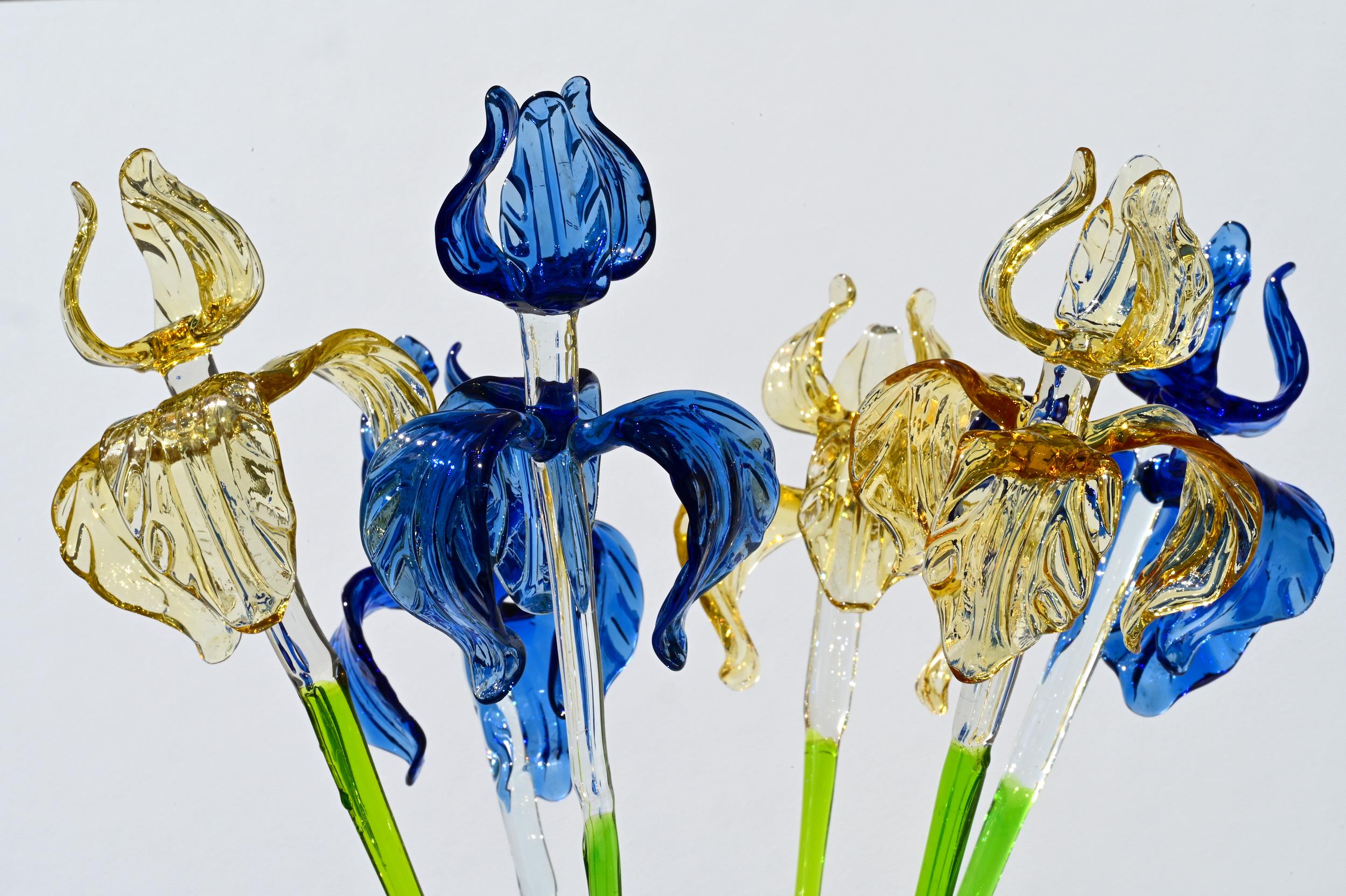 "Six Petals" Iris Bouquet of 6