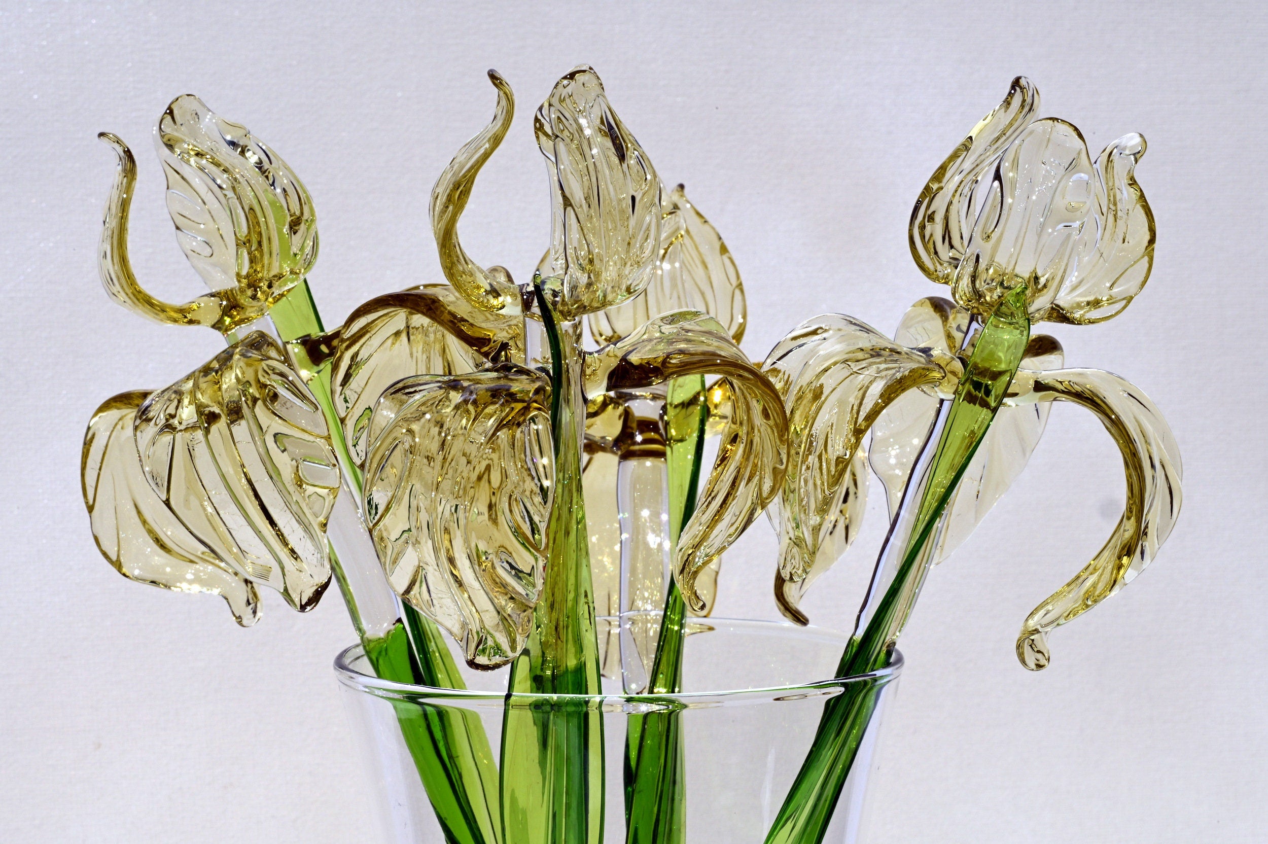 "Goldilocks" Gold & Transparent Iris