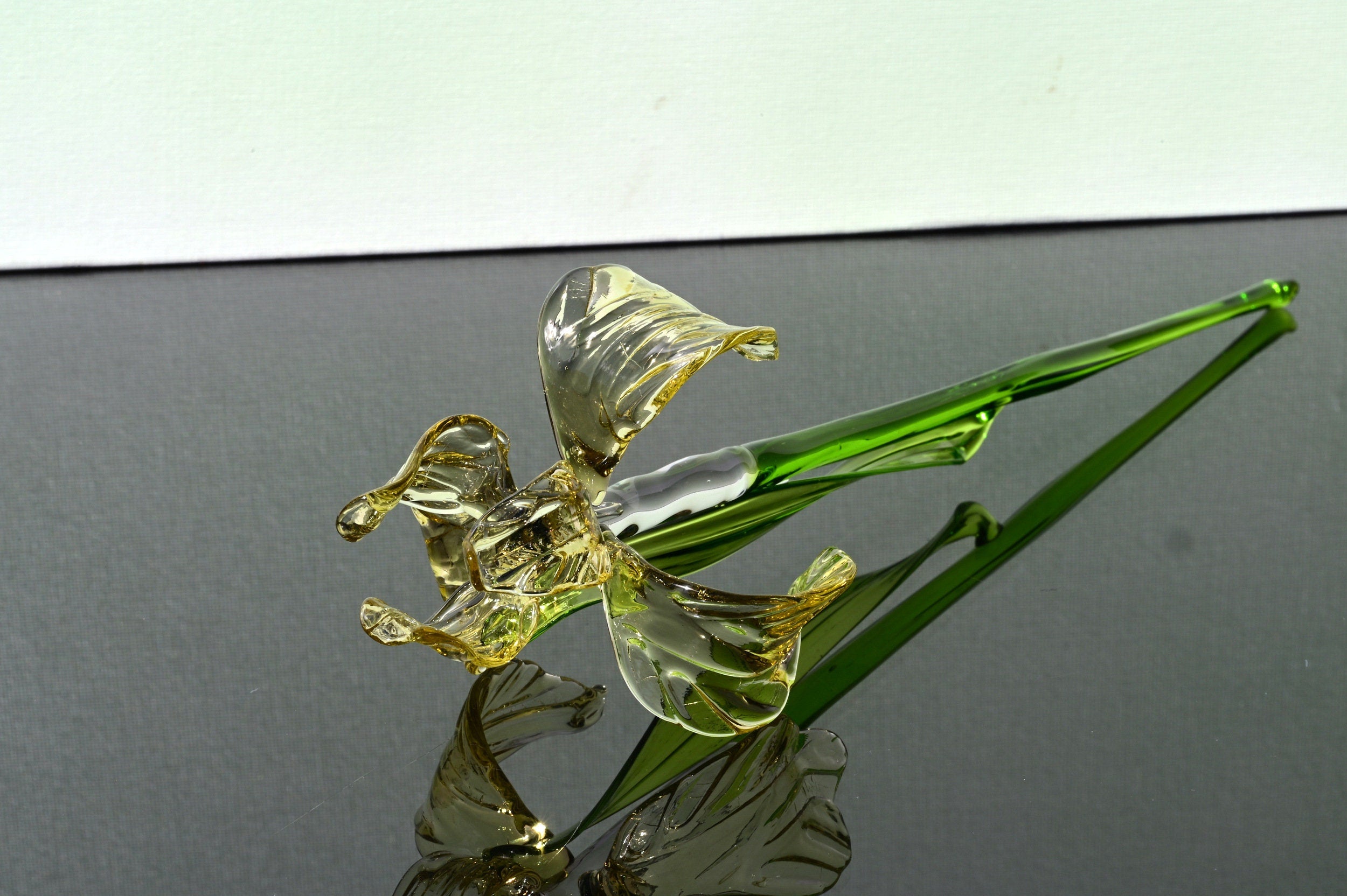 "Goldilocks" Gold & Transparent Iris