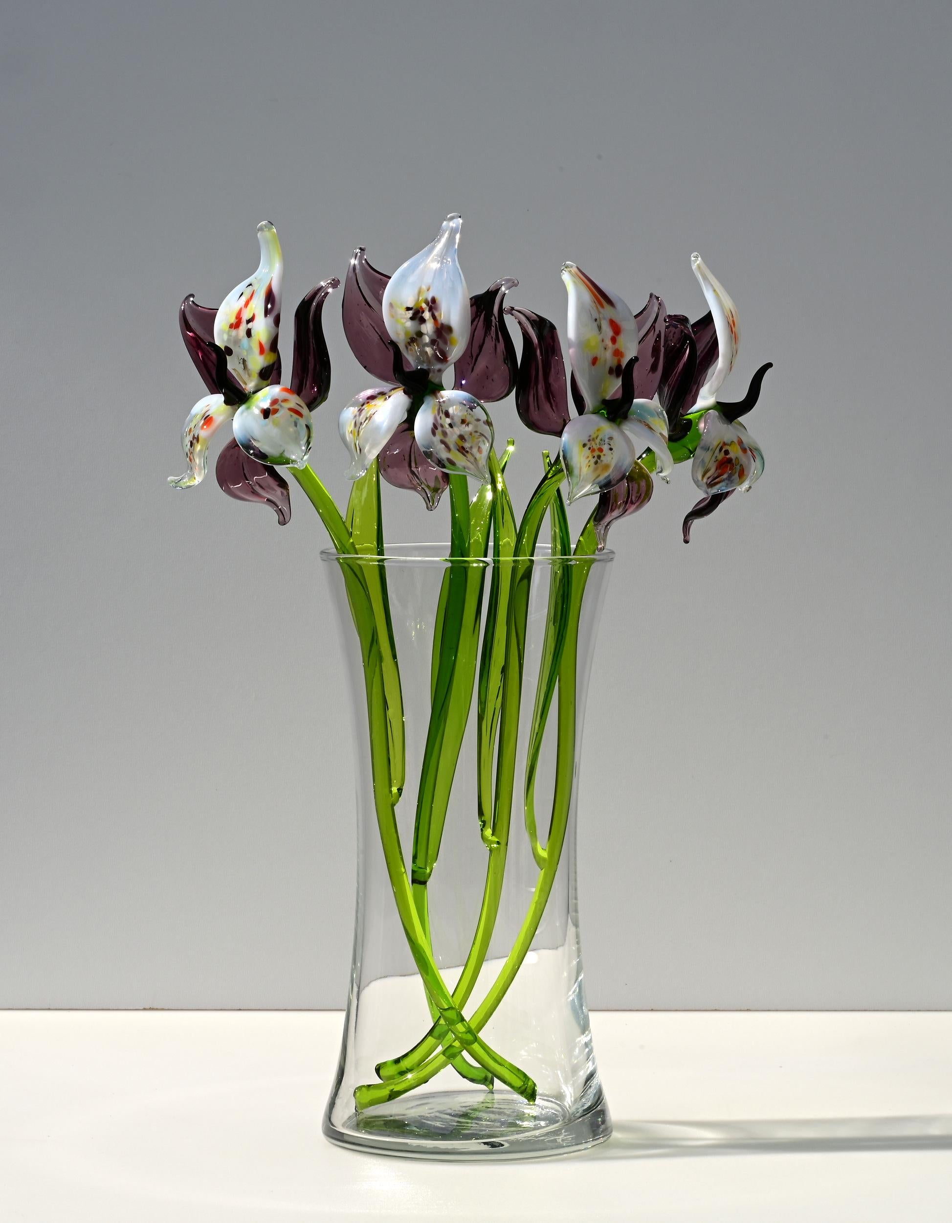 "Eclipse" Orchid Blooms